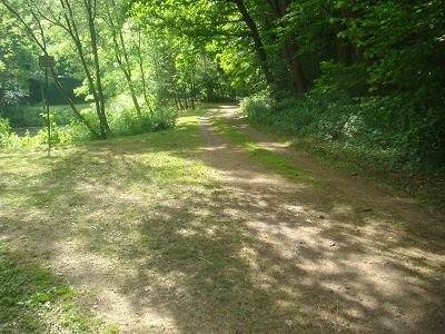 Waldweg